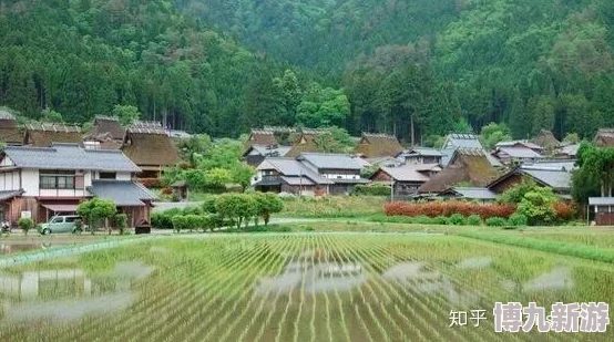 日本乡下有许多亲近相尾换伴当地年轻人回乡创业推动新农村建设发展