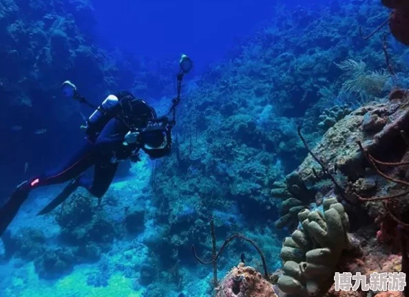 暗黑潜水员温和怪物特点揭秘：四种温和生物独特能力与攻击方式详解