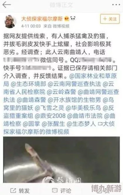 莱州猛禽事件视频网友质疑真实性呼吁官方调查