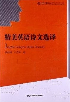 欧美中文字幕跨文化交流现象的语言桥梁与字幕翻译的准确性探讨