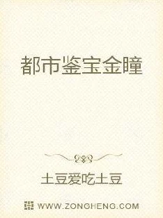 鉴宝金瞳小说最新都市异能古玩捡漏淘宝捡漏鉴宝打眼升级流爽文