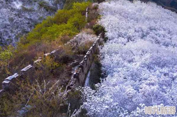 花近江国探寻其文化传承与自然风光交融的独特魅力