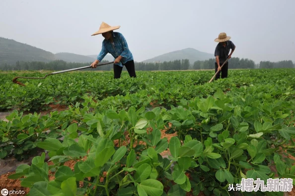 揭秘异环在科幻新作中的关键角色与惊人爆料信息