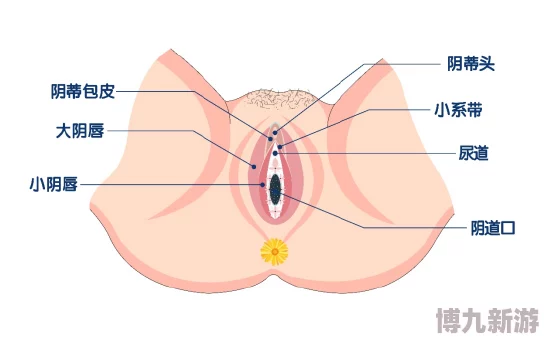 为何大荫蒂HD大荫蒂备受喜爱源于其无遮挡的真实画面