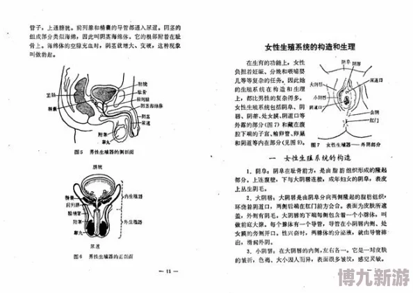 男人插女人逼生理结构差异与性行为体验的多元化探讨