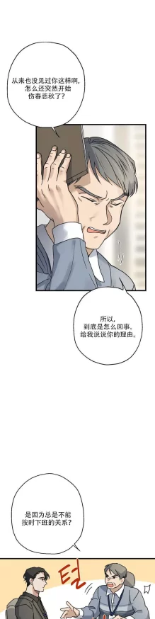 免费无遮挡羞羞漫画内容低俗传播不良信息已被举报