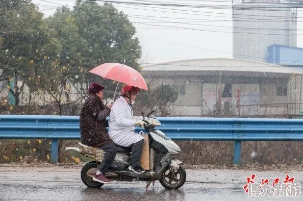 2025年热门一骑学院最强阵容解析：英雄搭配强度榜全面升级