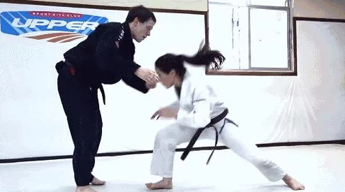DNF玩家热议：男女柔道职业强度对比，谁才是格斗之王？