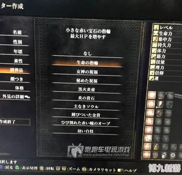 黑暗之魂3陪葬品选择攻略：爆料最优选择与详细分析