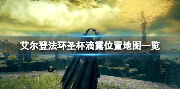 艾尔登法环圣杯滴露全收集指南：全面探索与获取技巧